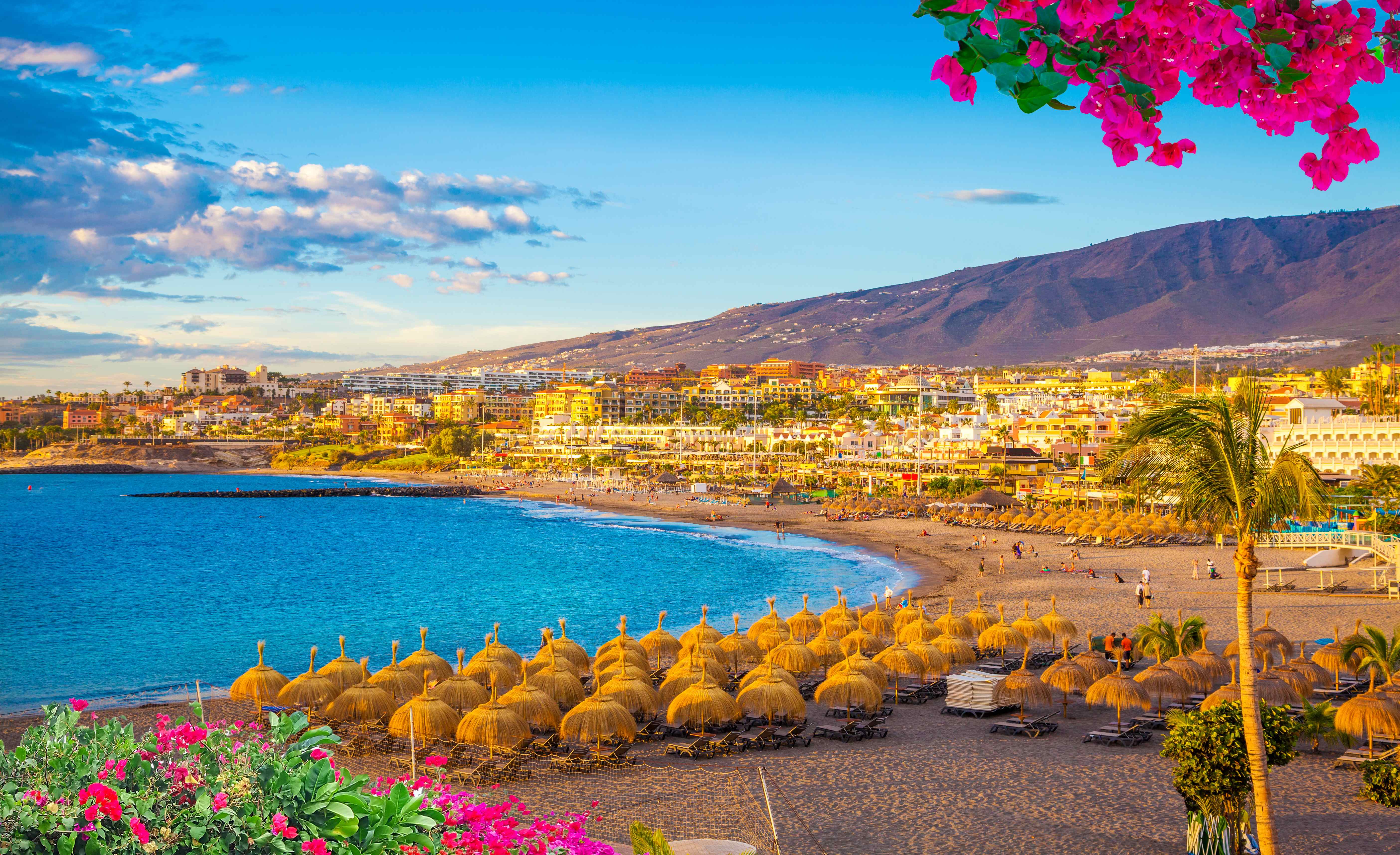 canaryisland